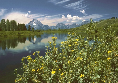 [Snake River & Tetons]